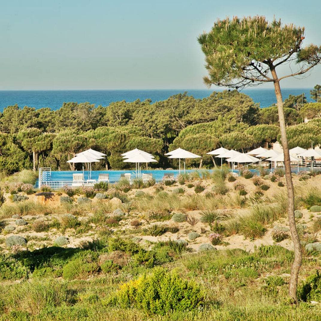 The Oitavos 1