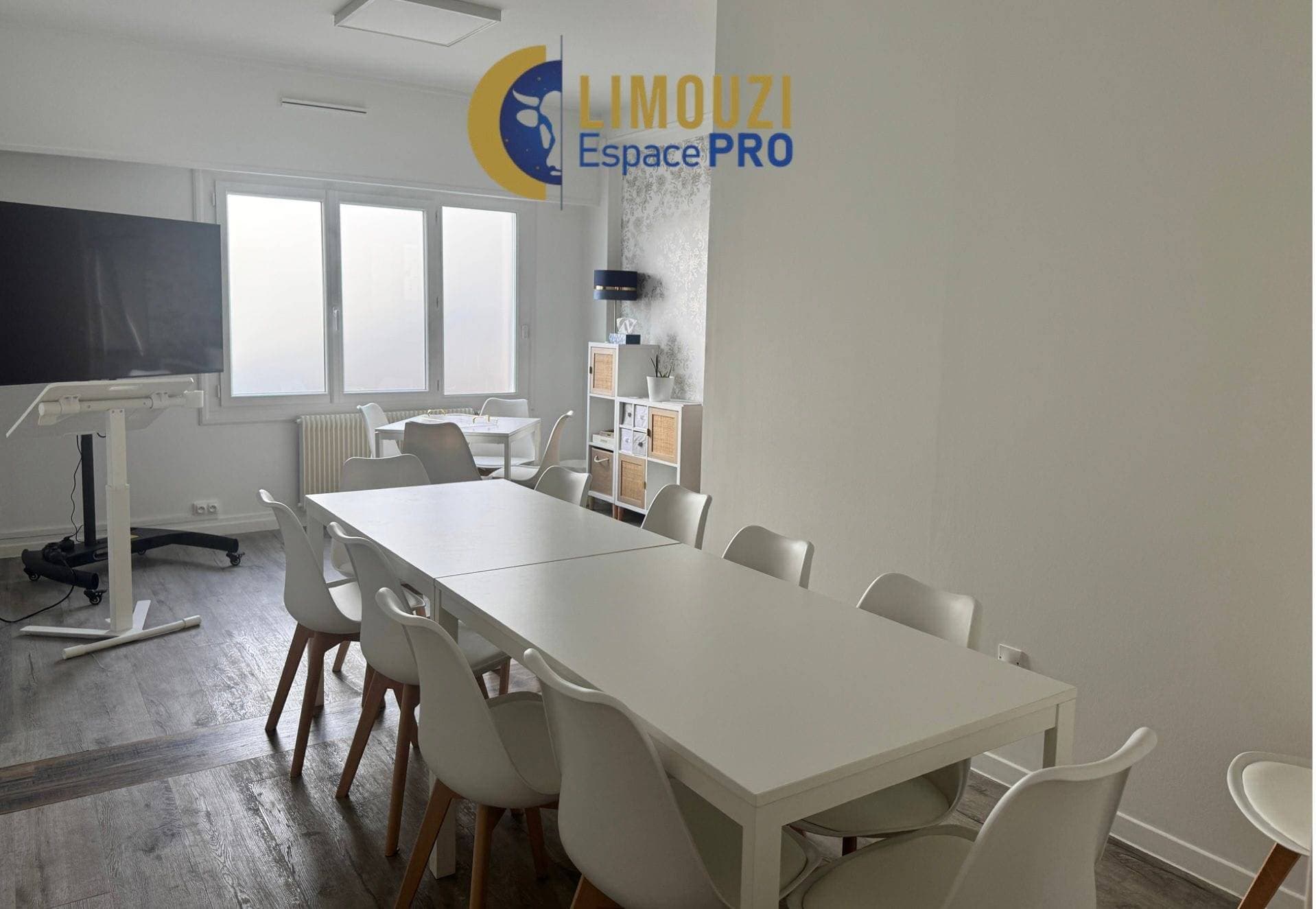 Limouzi Espace Pro 1