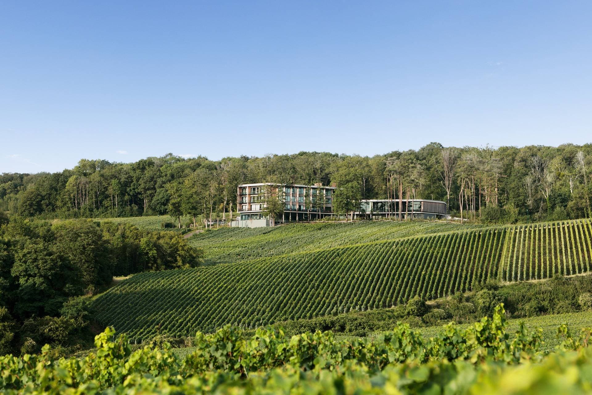 LOISIUM Wine & Spa Hôtel Champagne 1