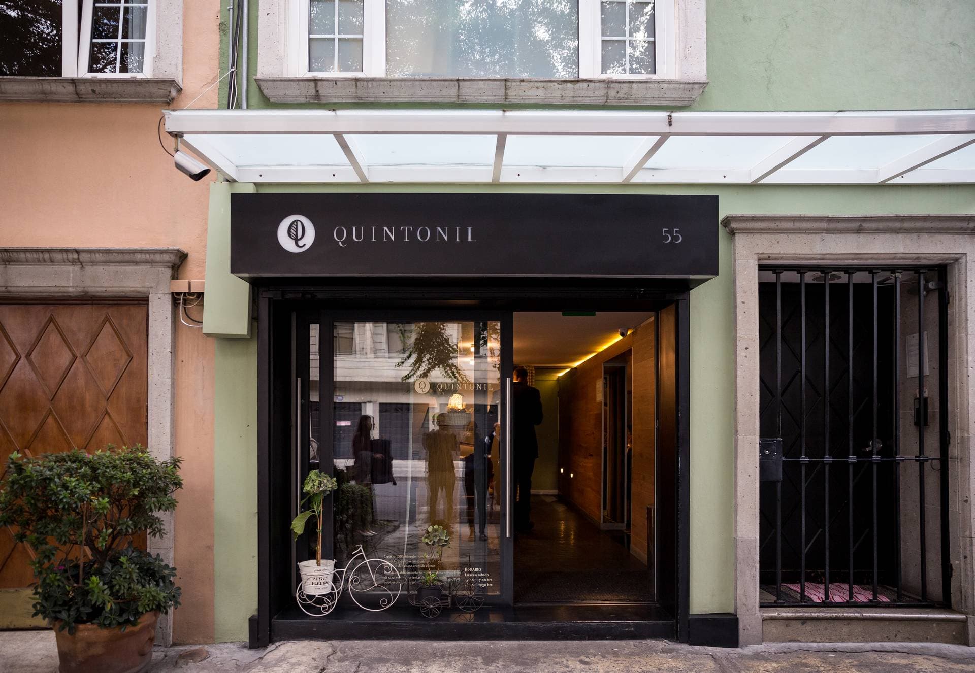 Quintonil 1