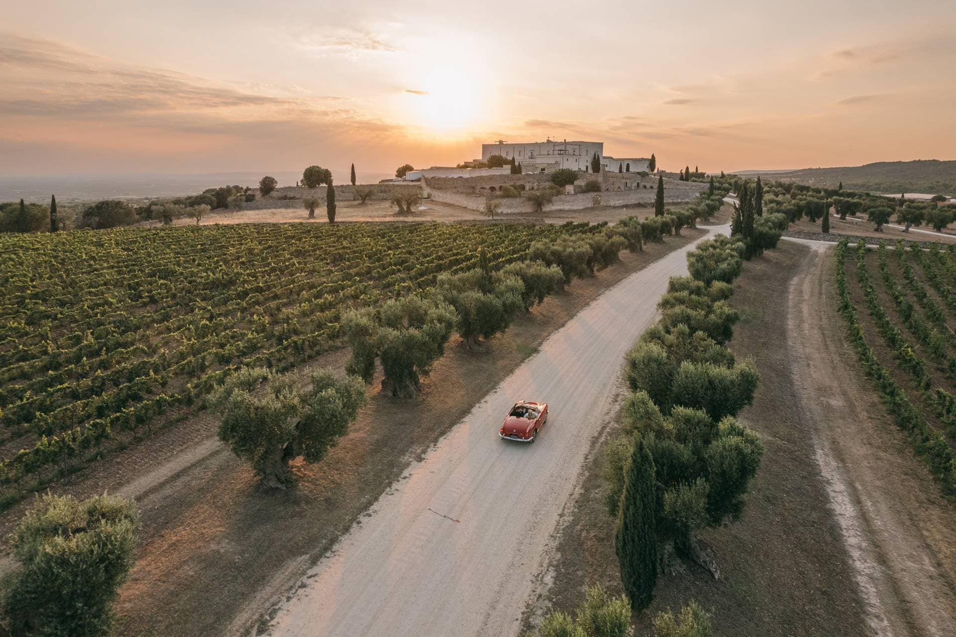 Masseria Amastuola Wine Resort 1