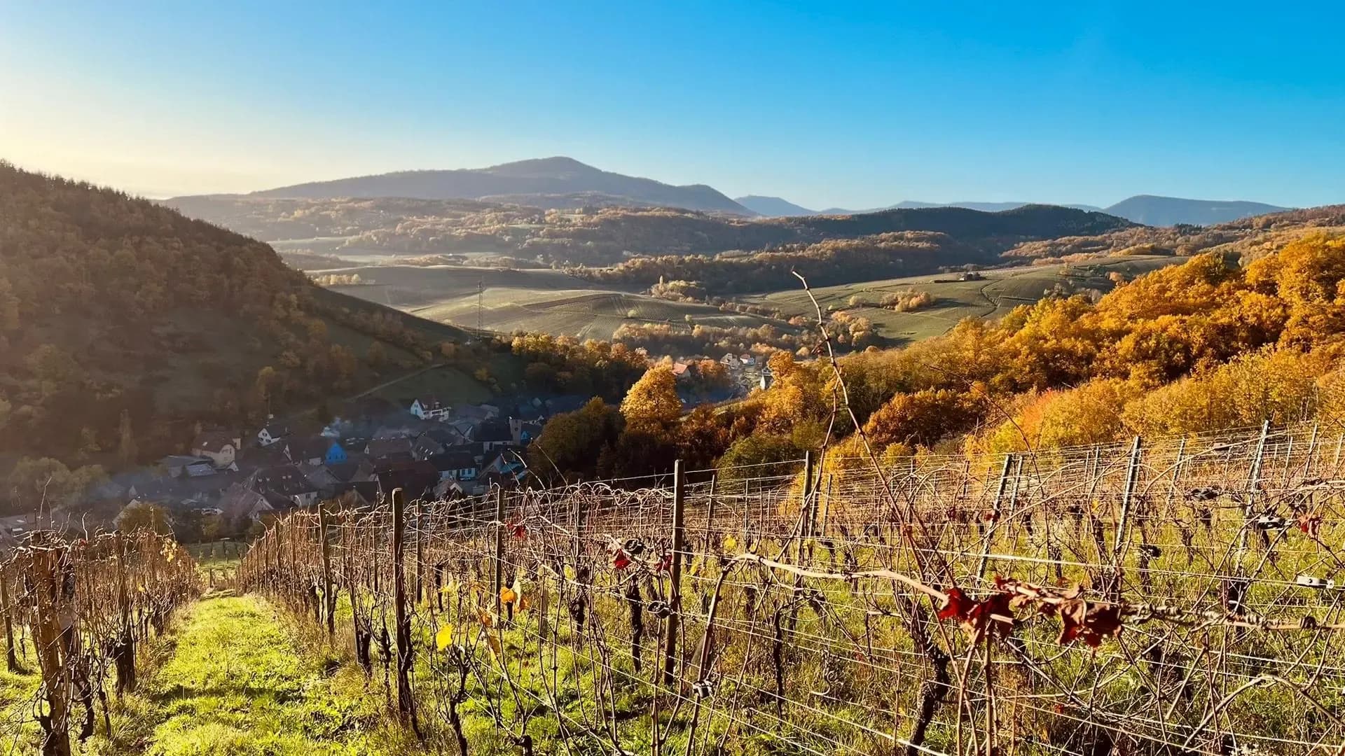 Domaine Achillée 1