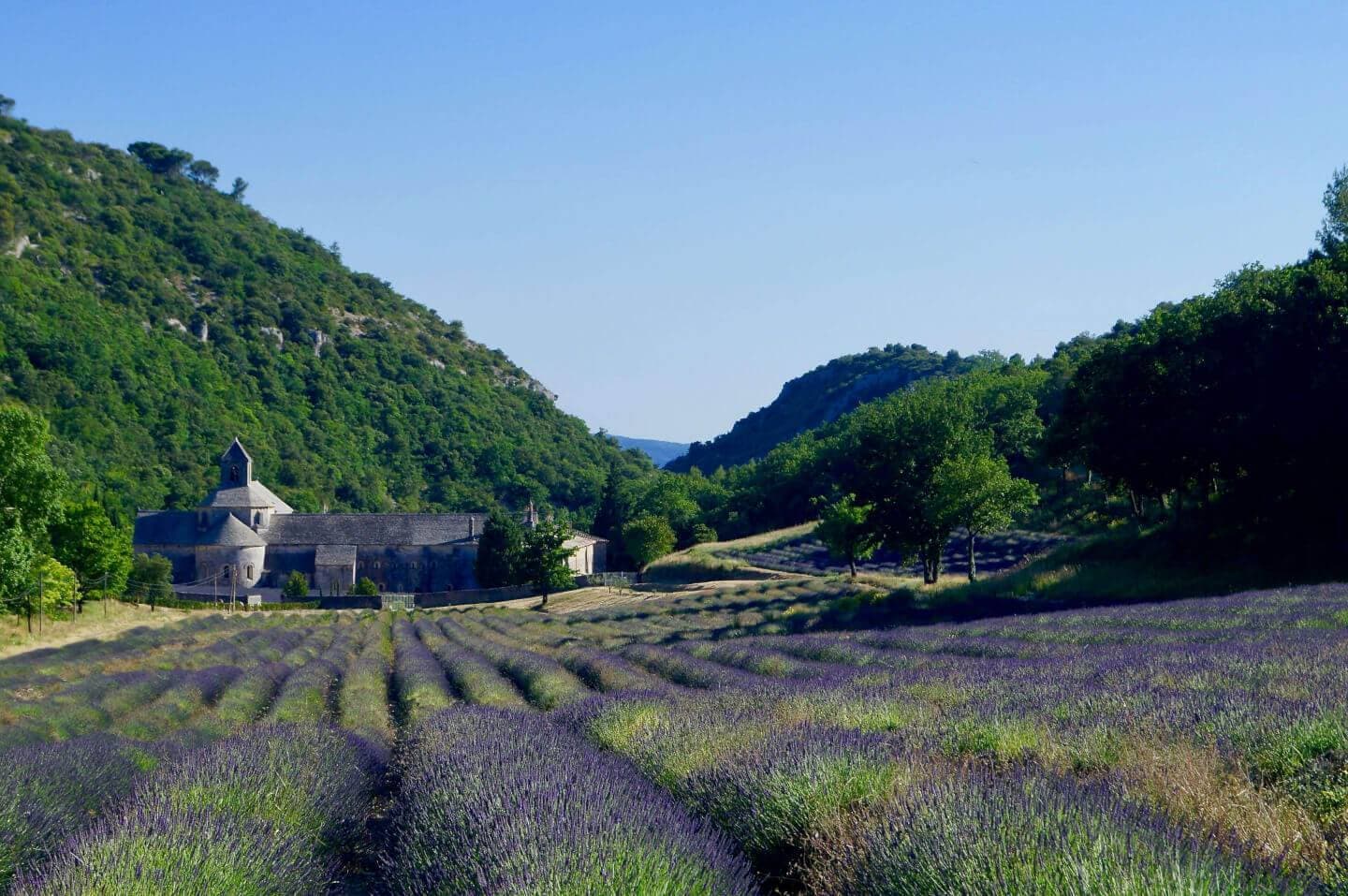 Chemins, séminaires nature- Die 1