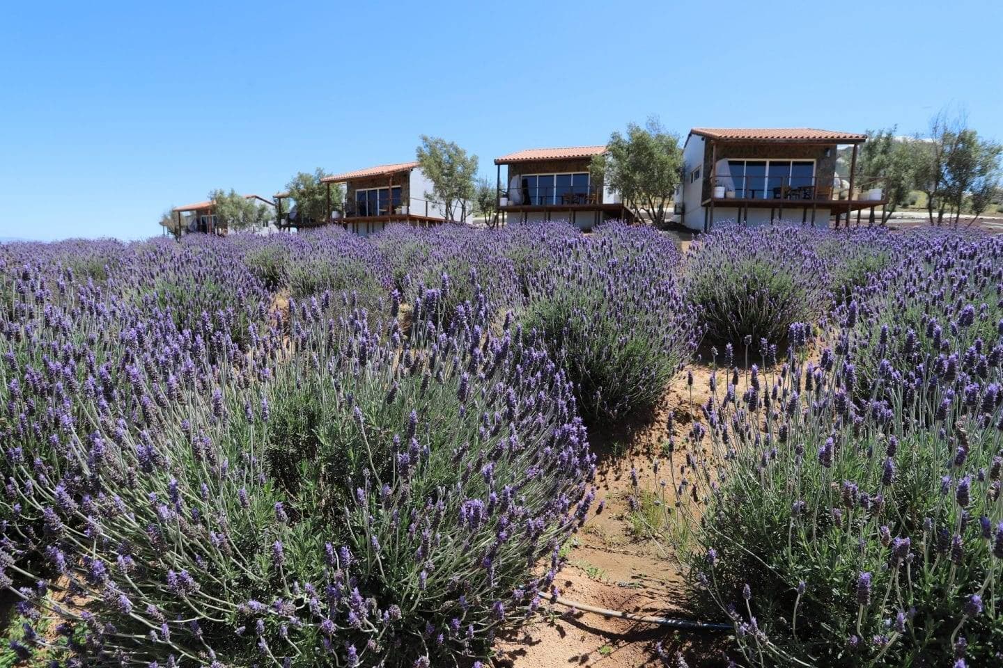 Montevalle Resort & Spa 1