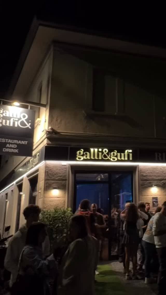 Galli e Gufi 1