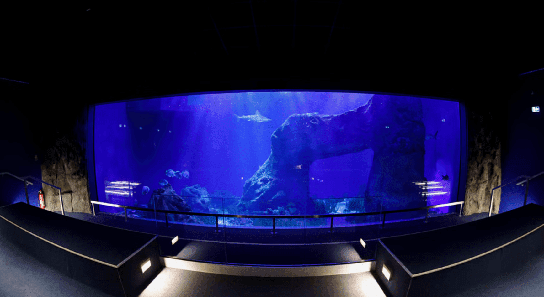 Aquarium Oniria 1
