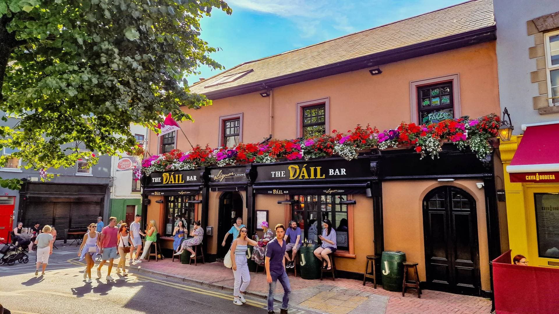 The Dáil Bar 1