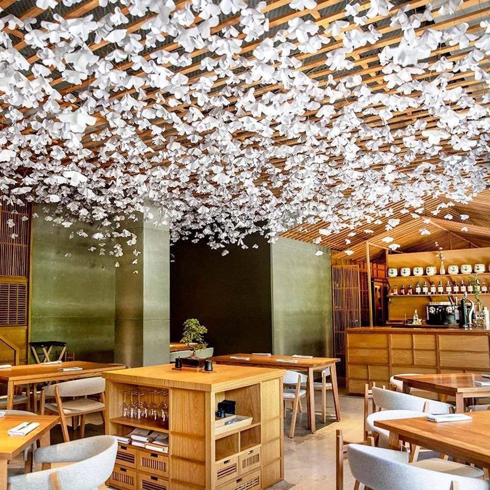 Nozomi Sushi Bar 1