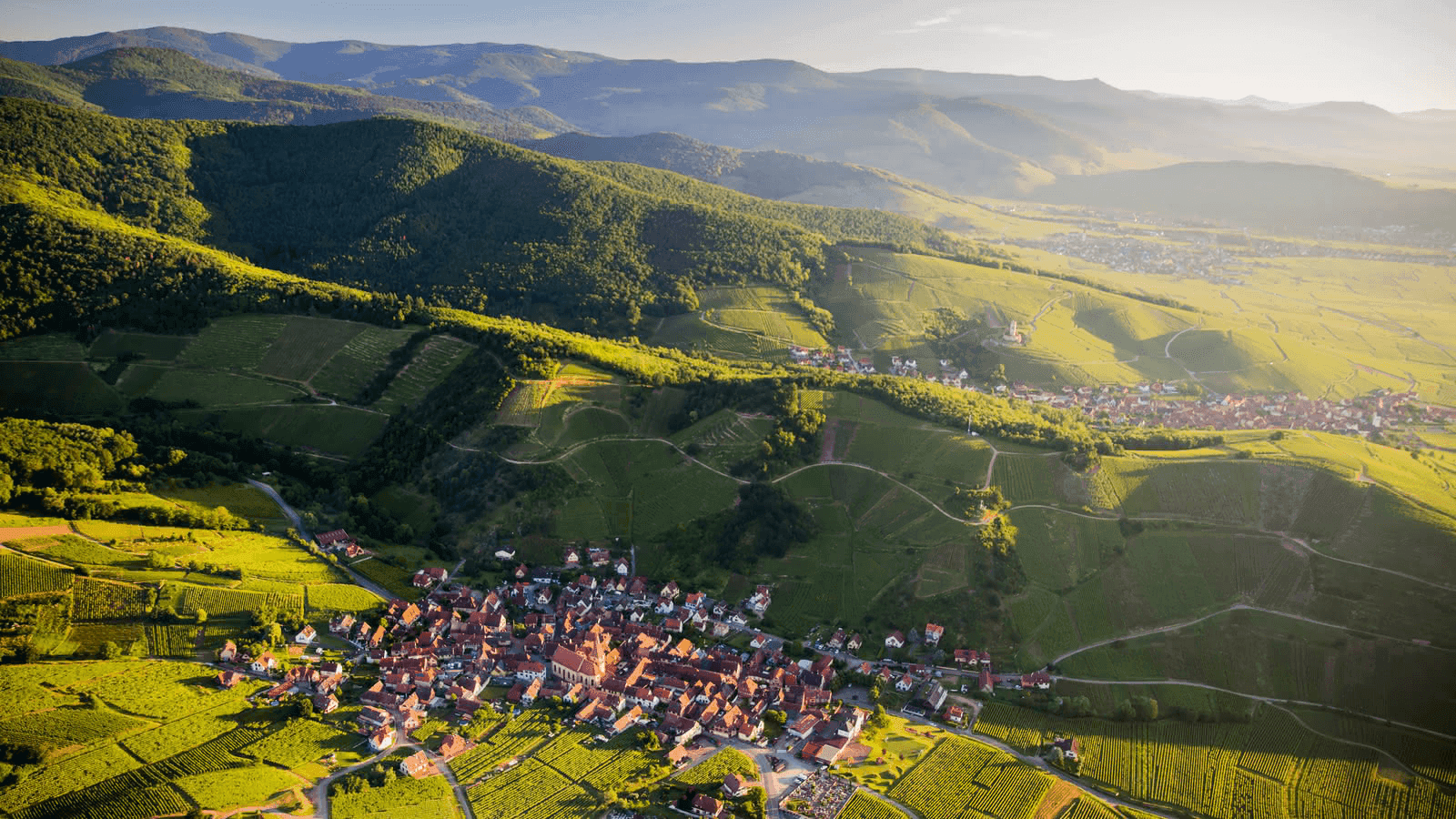 Alsace Wine Tours 1