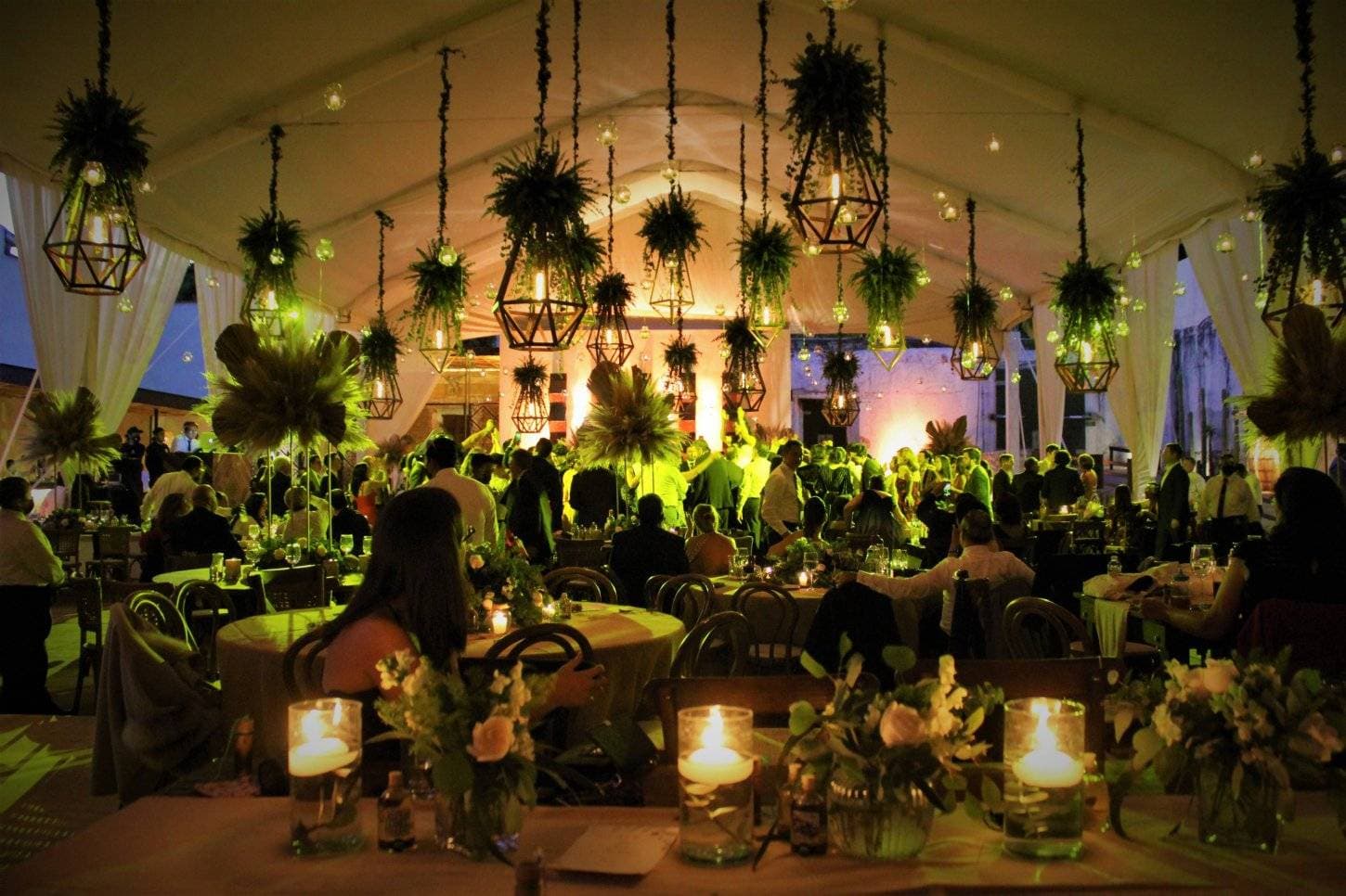 Cardenal Oaxaca Social Venue 1