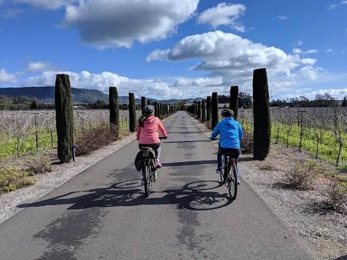 Sonoma Adventures 1