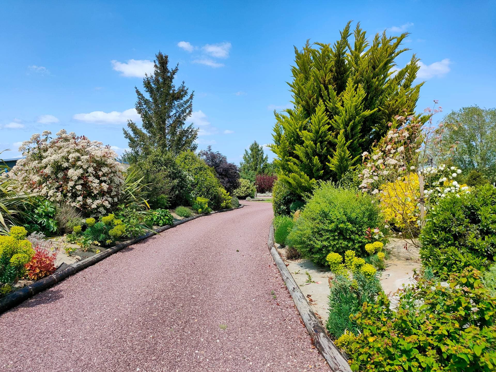 Domaine de La Forêt 1