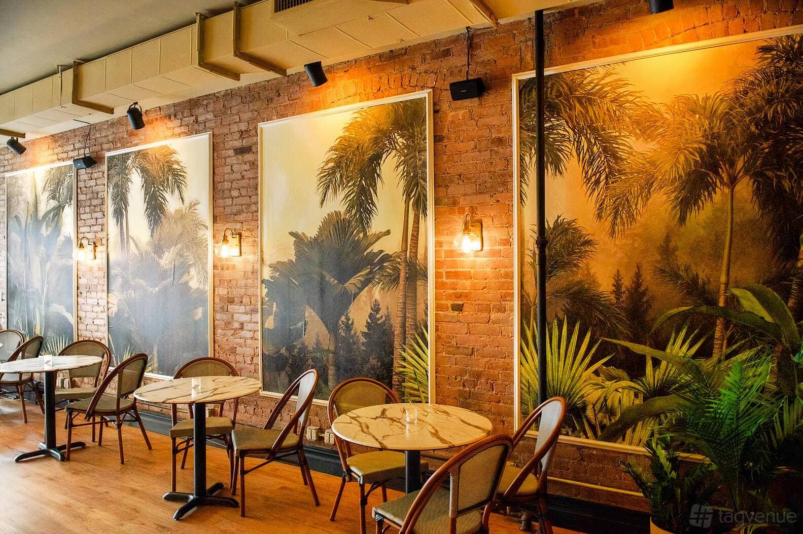 No More Cafe 1