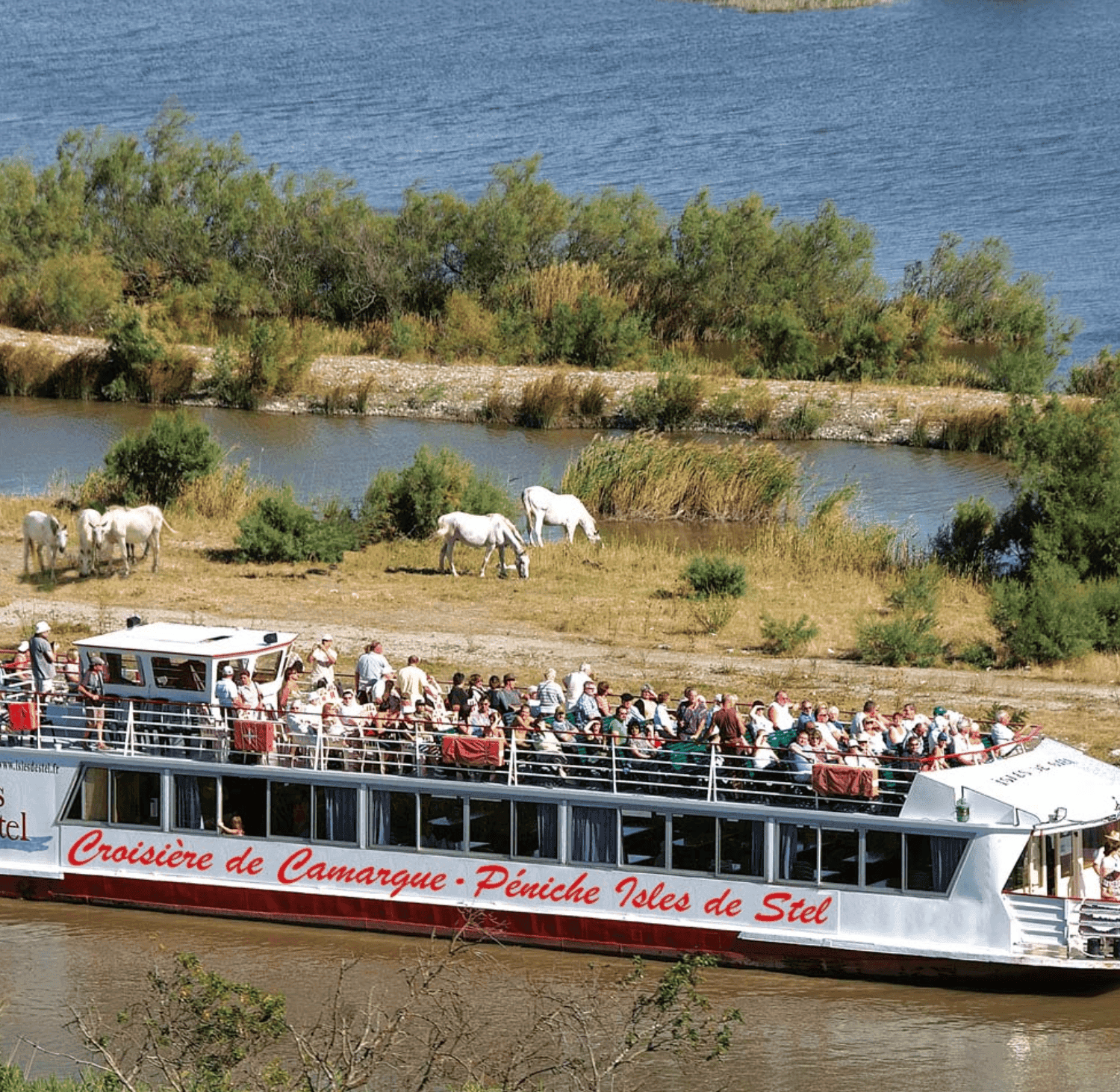 Croisiere De Camargue 1