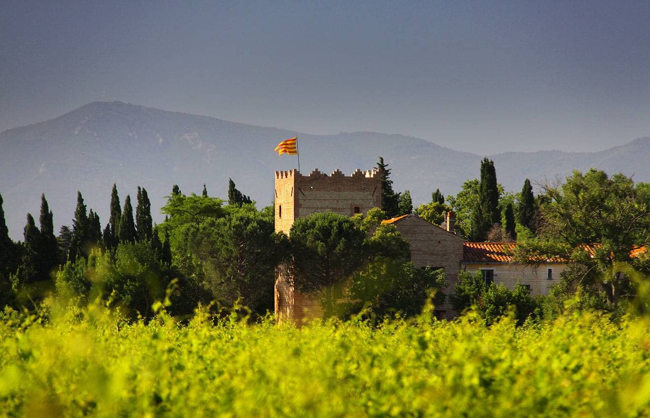 Mas Latour Lavail 1