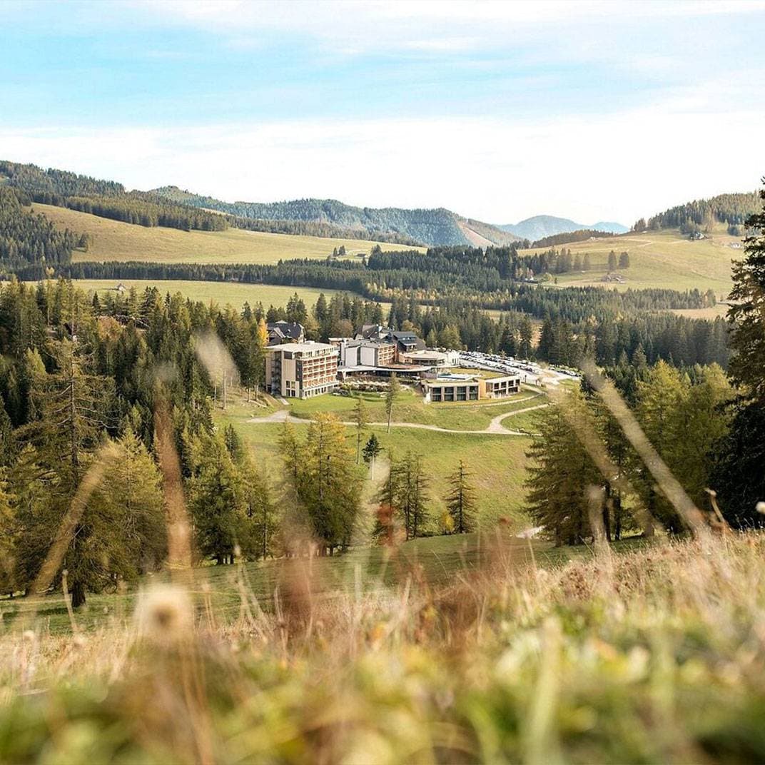Almwellness Hotel Pierer 1