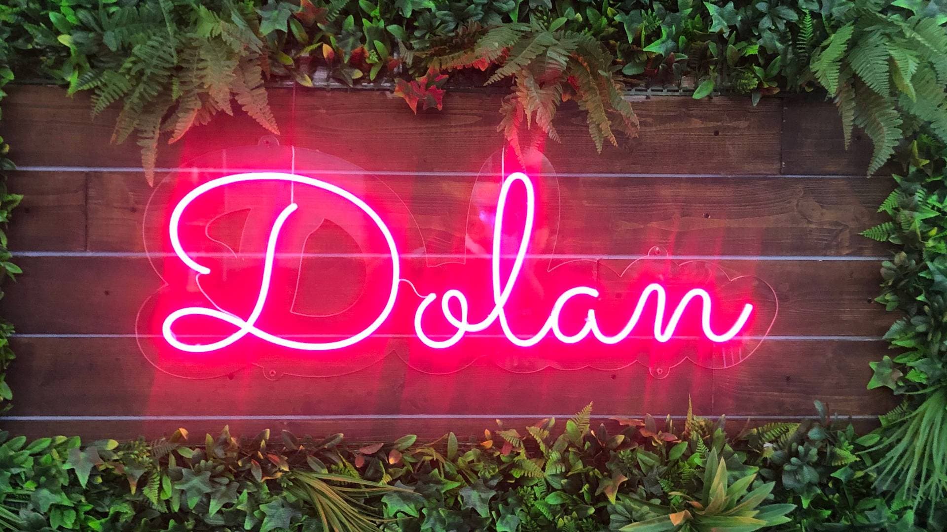 Dolan 1