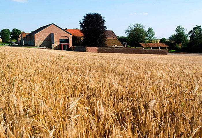 La Ferme de la Hagoulle 1