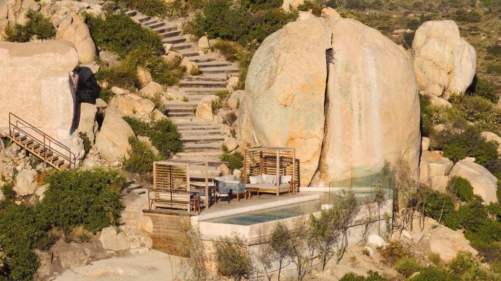 Banyan Tree Veya Valle de Guadalupe 1