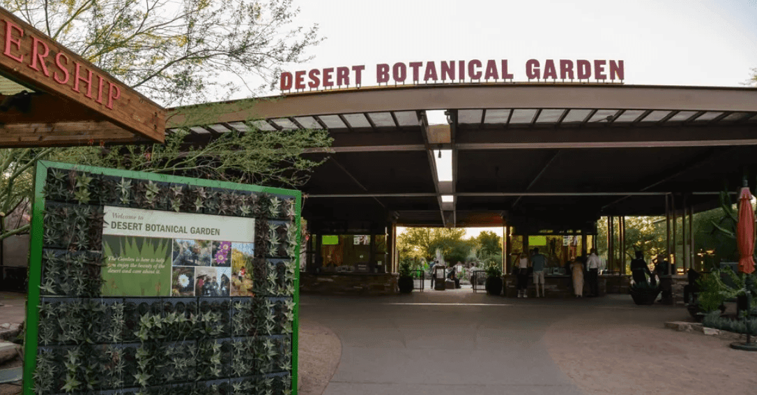 Desert Botanical Garden 1