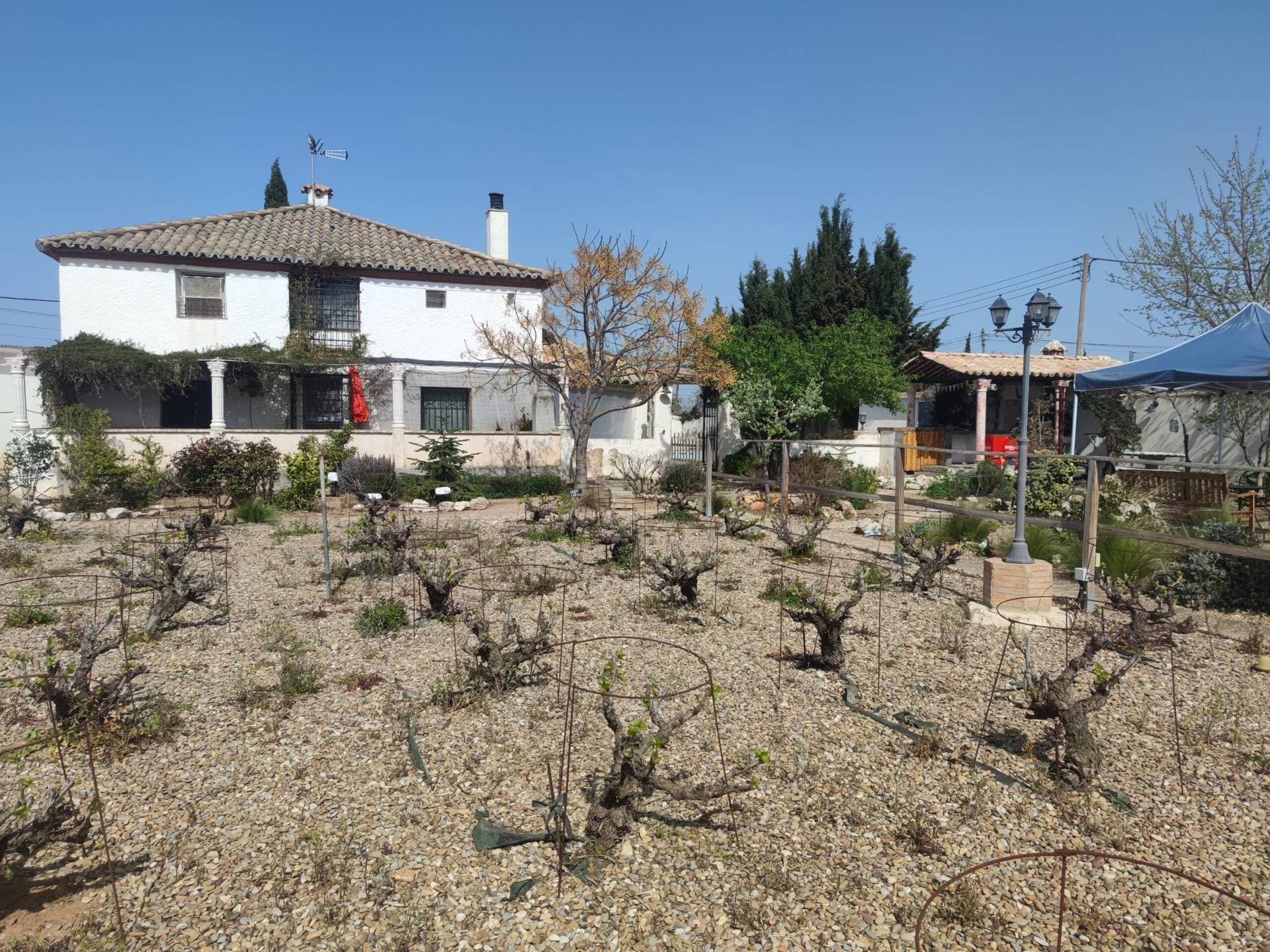 Finca Torre Pilar 1