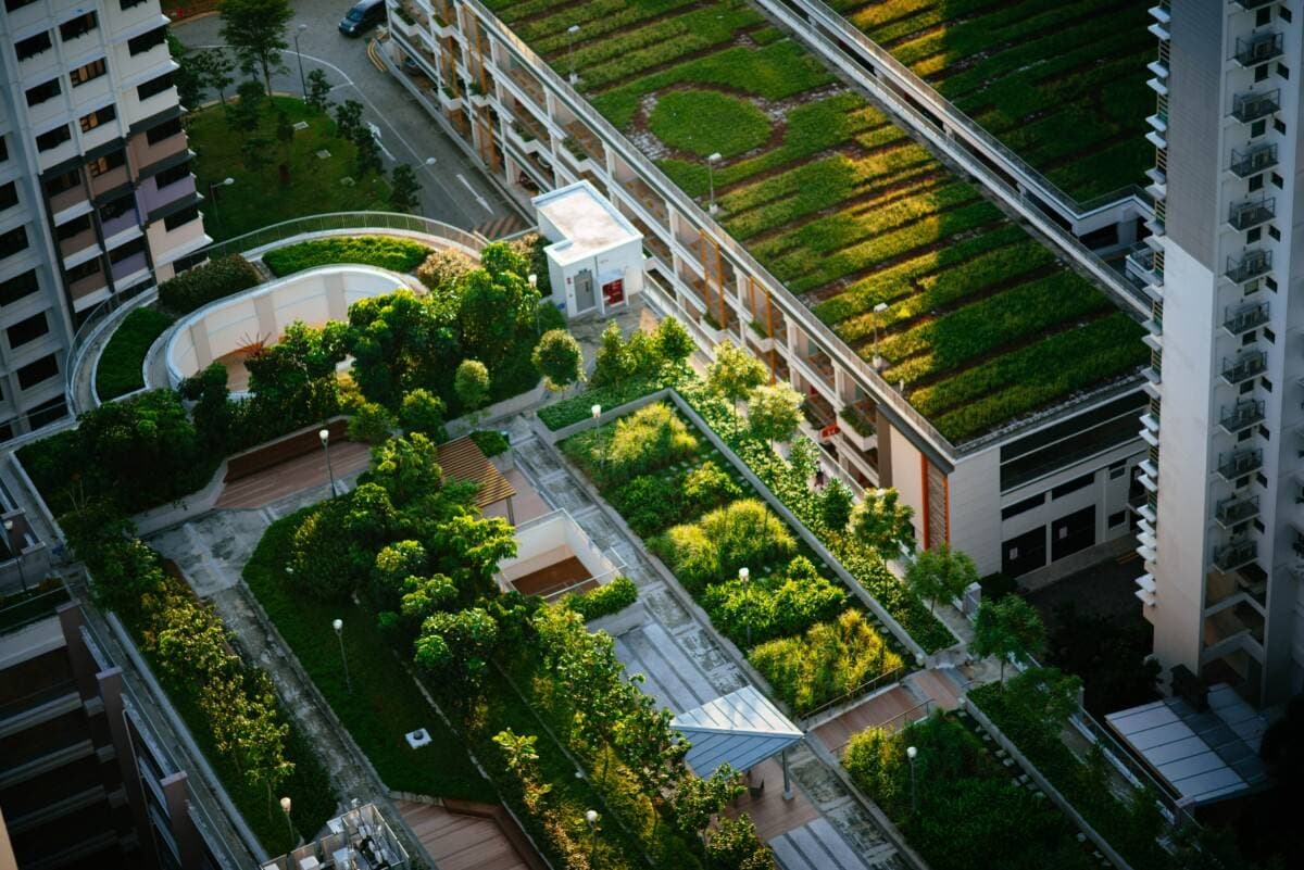 European Environmental Bureau 1