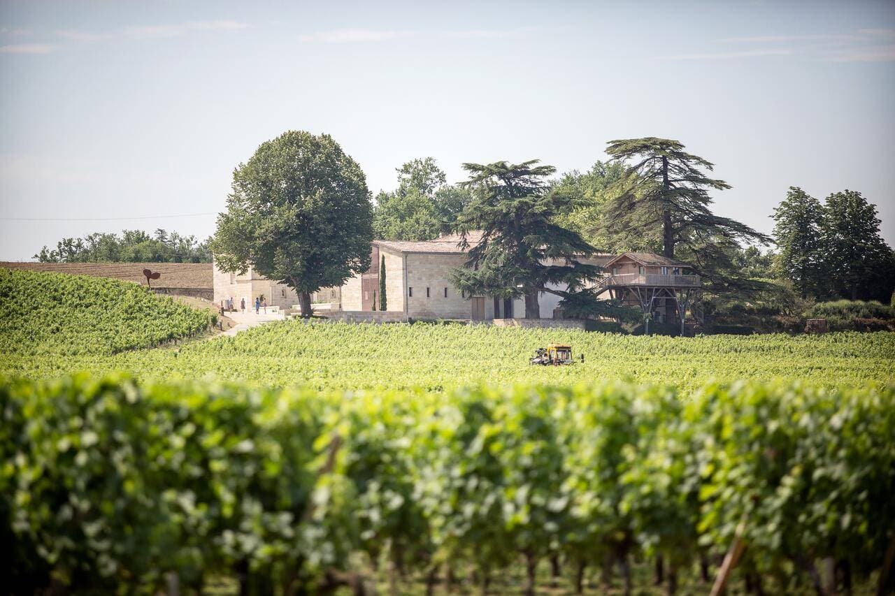 Le Relais de Franc Mayne 1