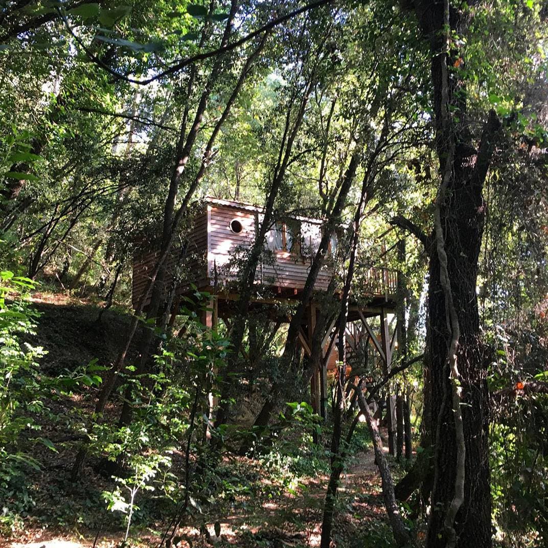 Orion Treehouses 1