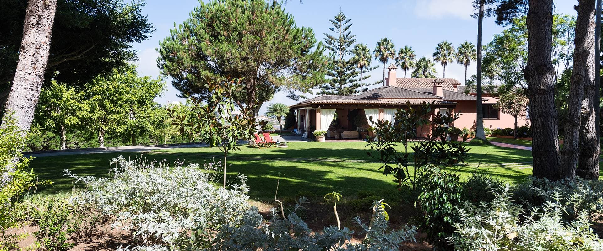 Finca Los Pinos 1