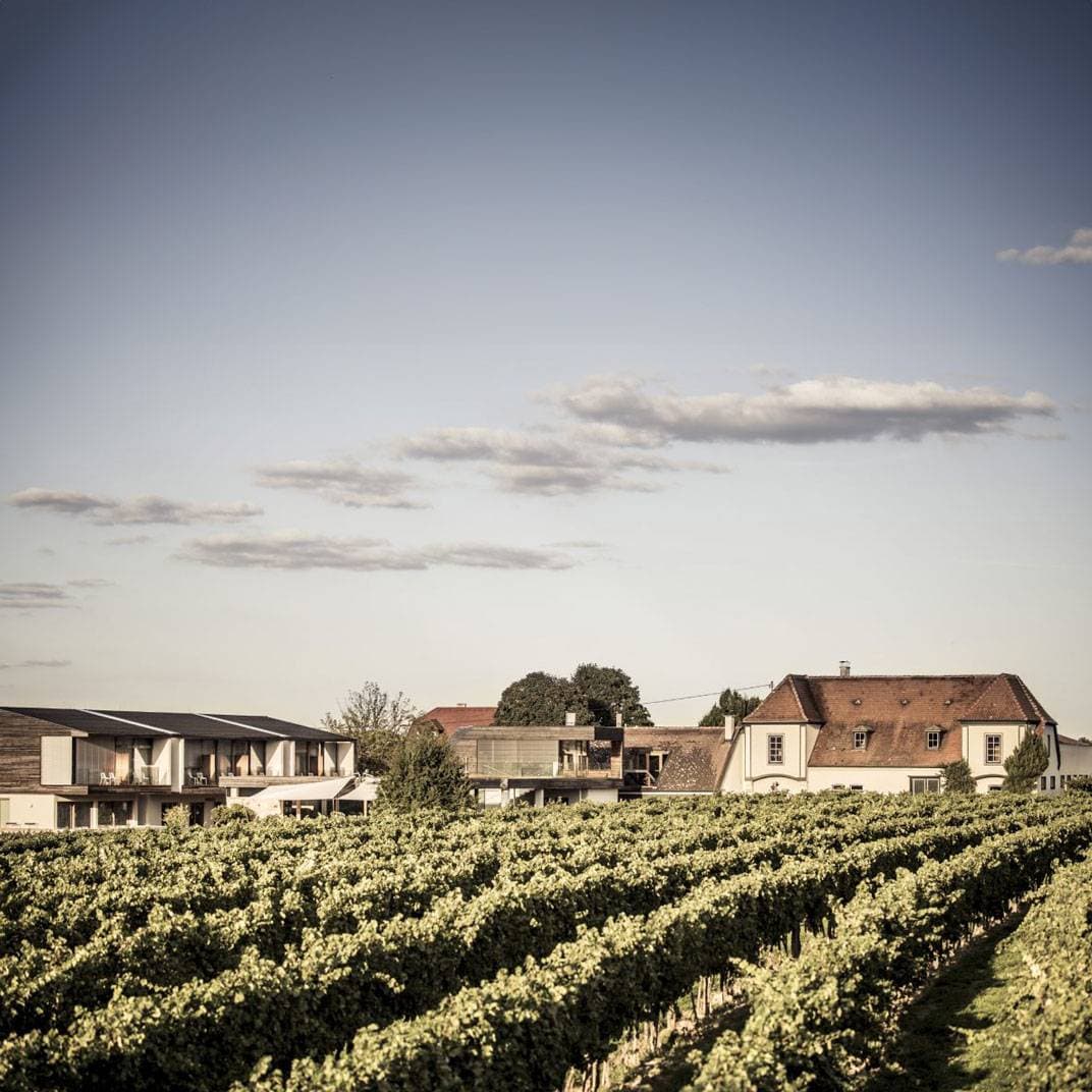 MALAT Weingut und Hotel 1