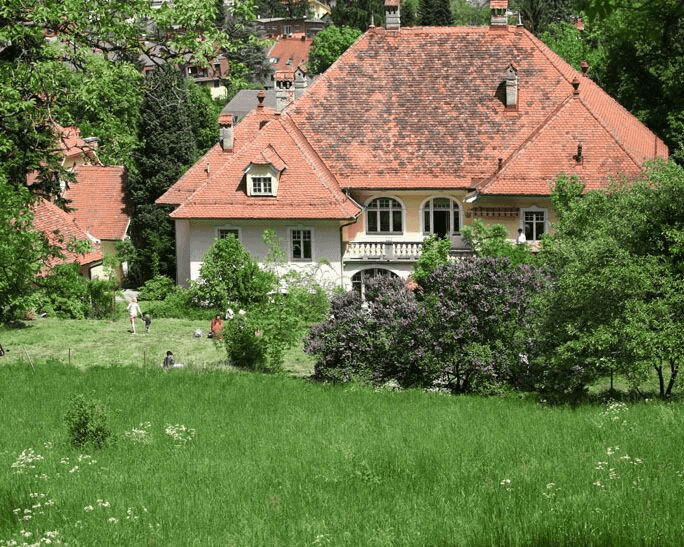 Villa Vitamus 1