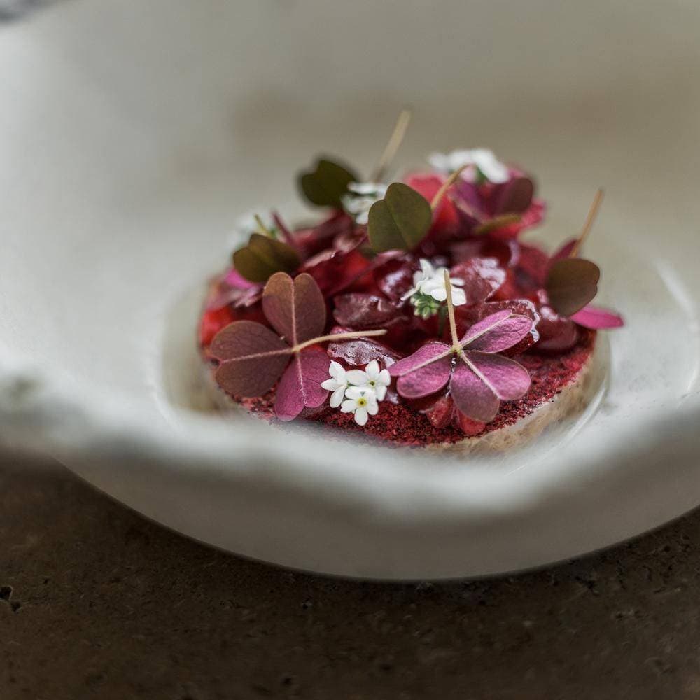 Hertog Jan at Botanic 1