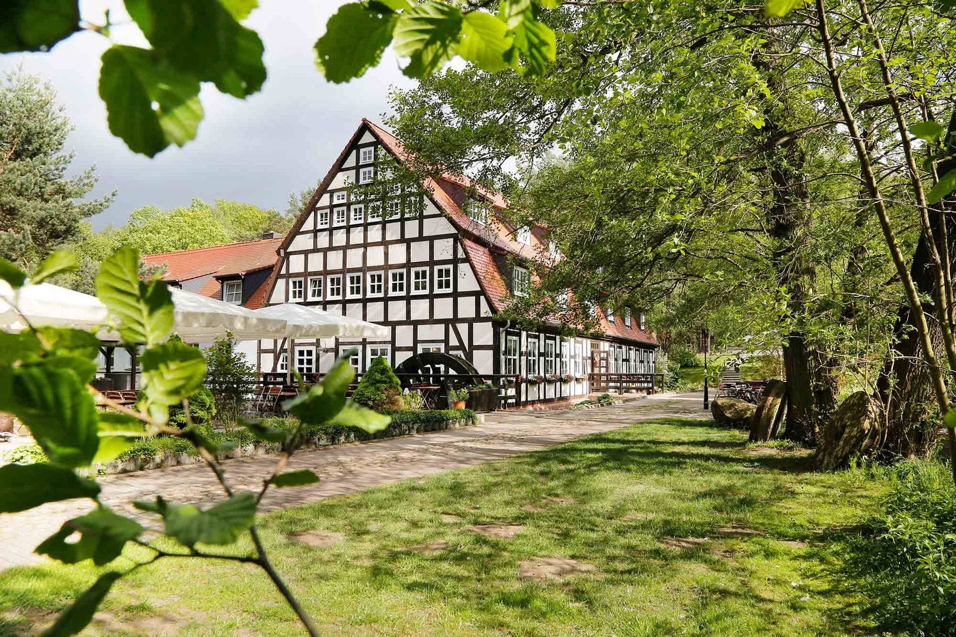 Springbach-Mühle Belzig 1