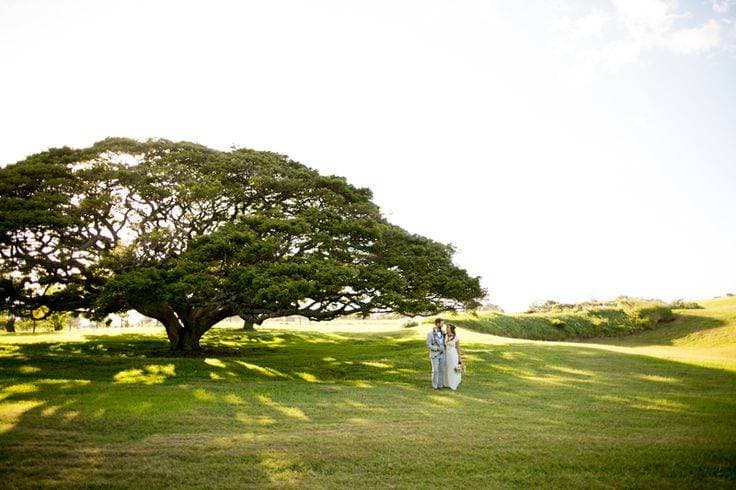 Hui No'eau Visual Arts Center - Maui 1