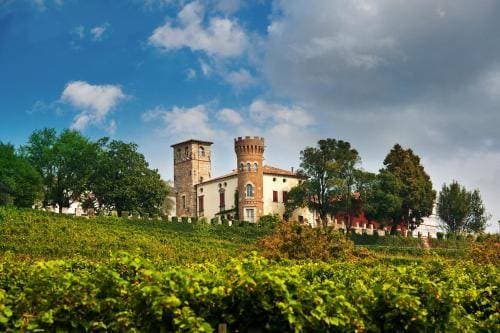 Castello di Buttrio 1