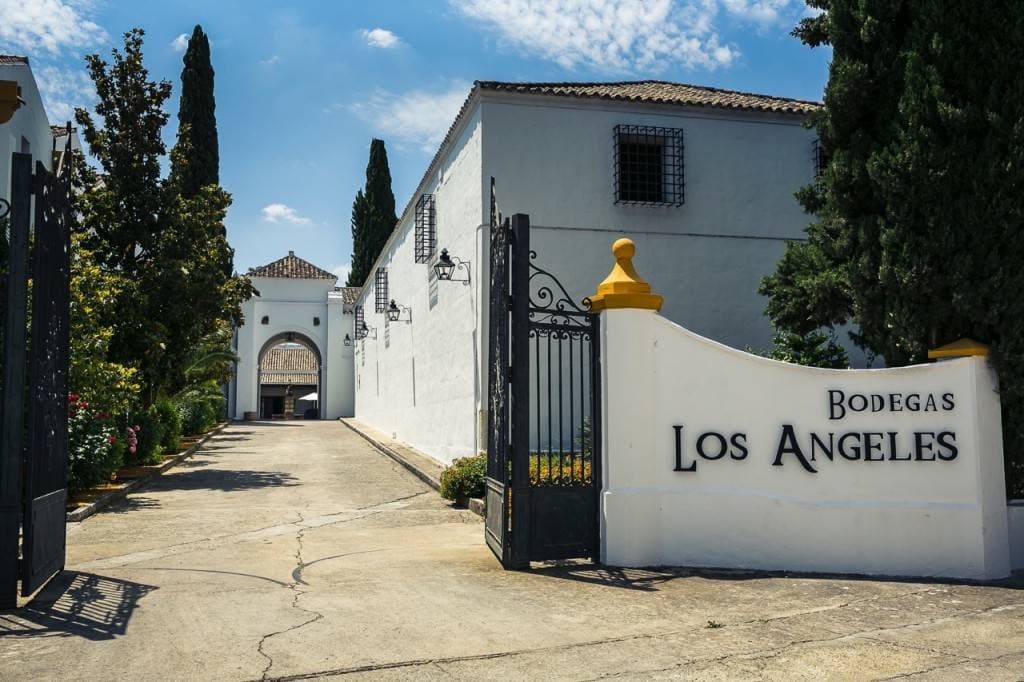 Bodega Los Angeles 1