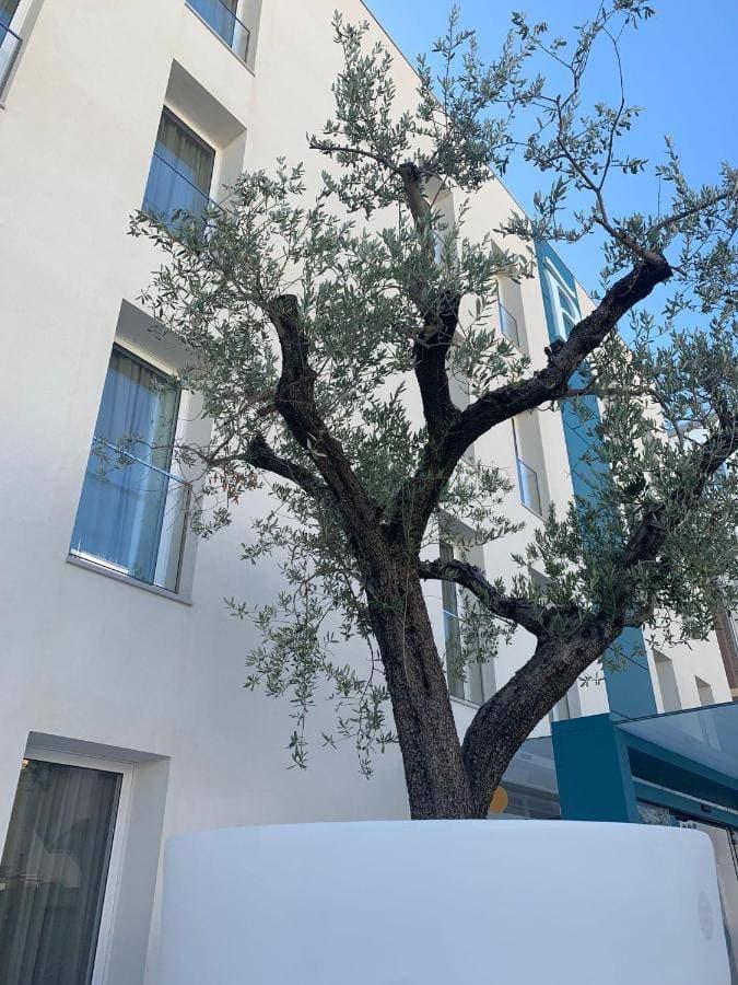 Biancodonda Greenblu Hotel & Spa 1