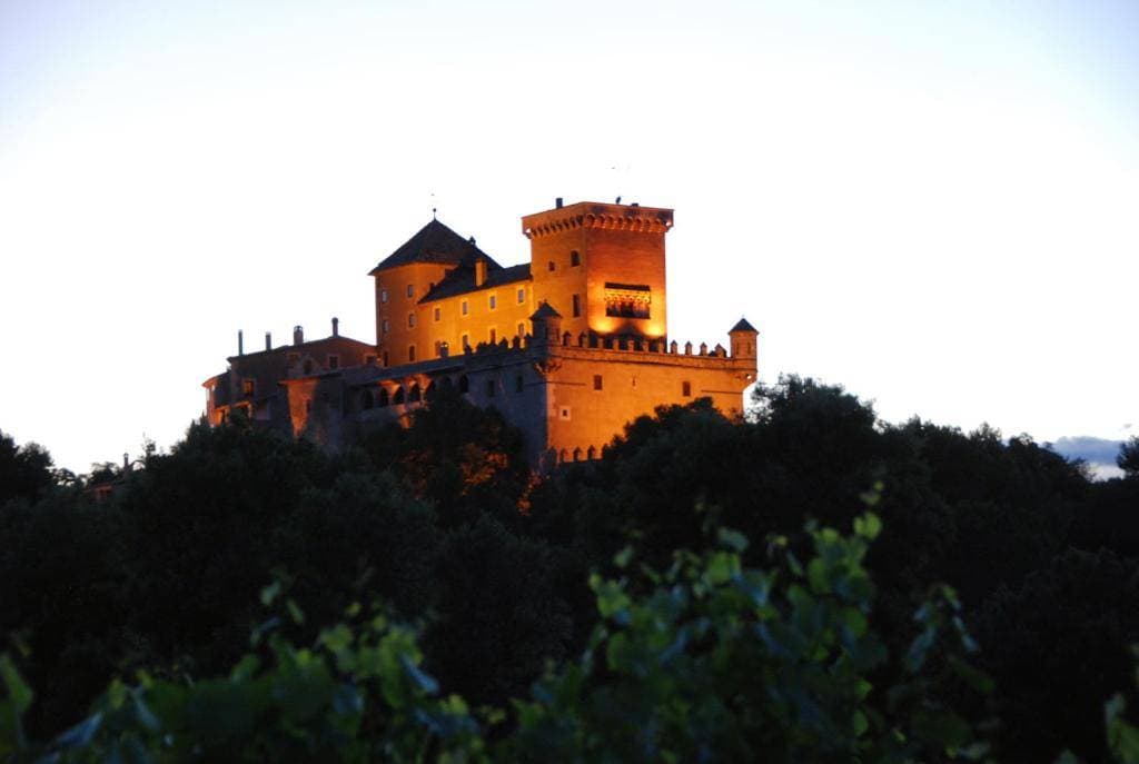 Castell de Riudabella 1