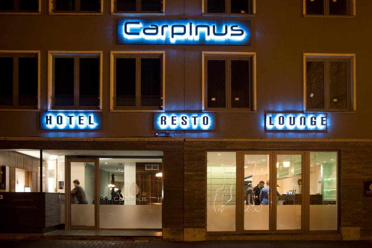 Carpinus 1