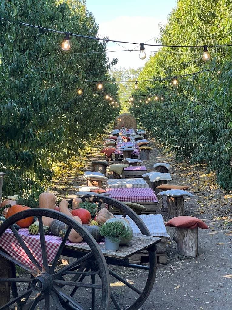 Azienda Agricola F.lli Scotti 1