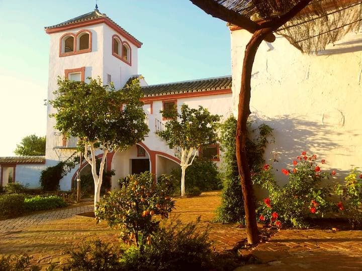 Hacienda de Orán 1
