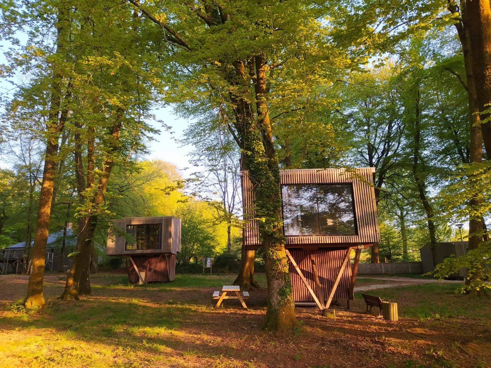 Étape en Forêt 1