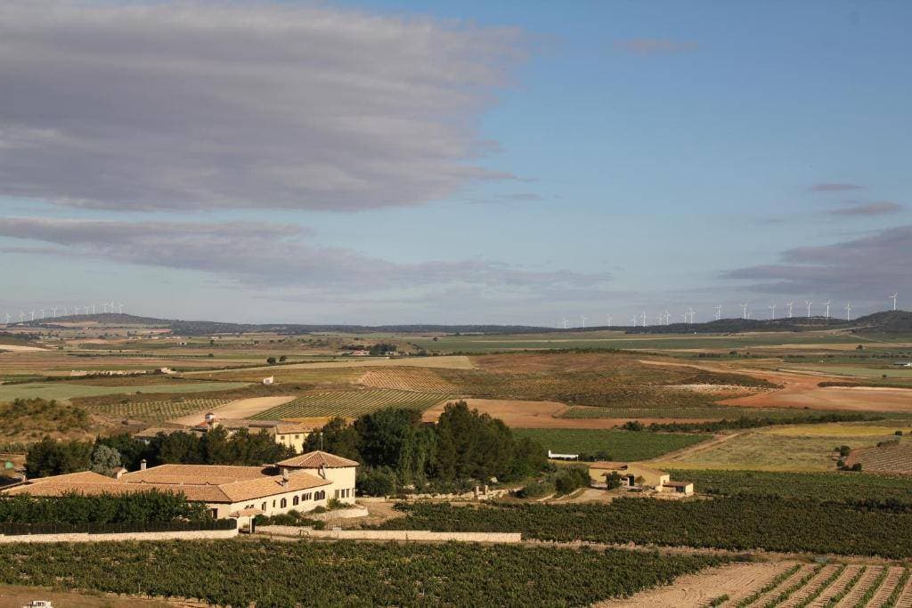Enoturismo Mainetes 2