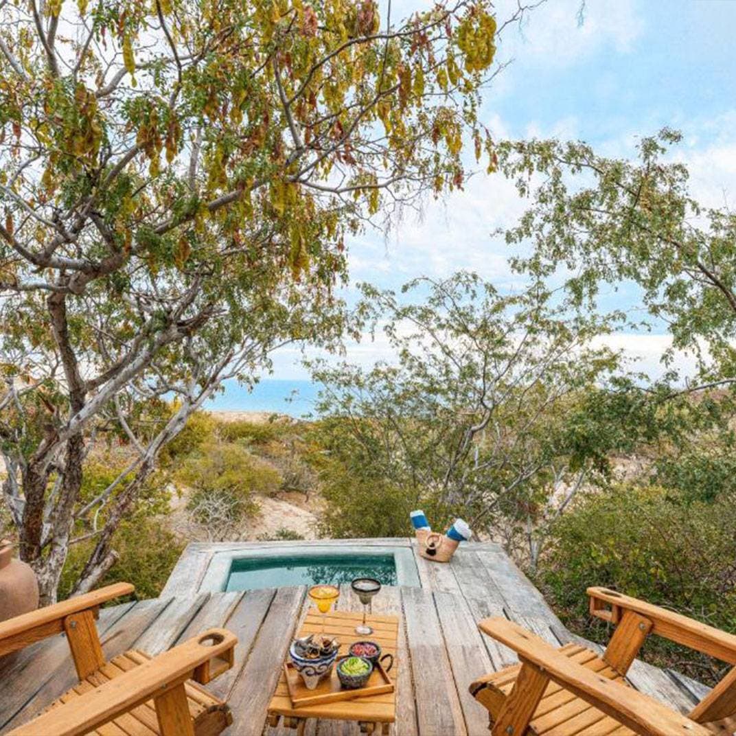 NEST Baja 12