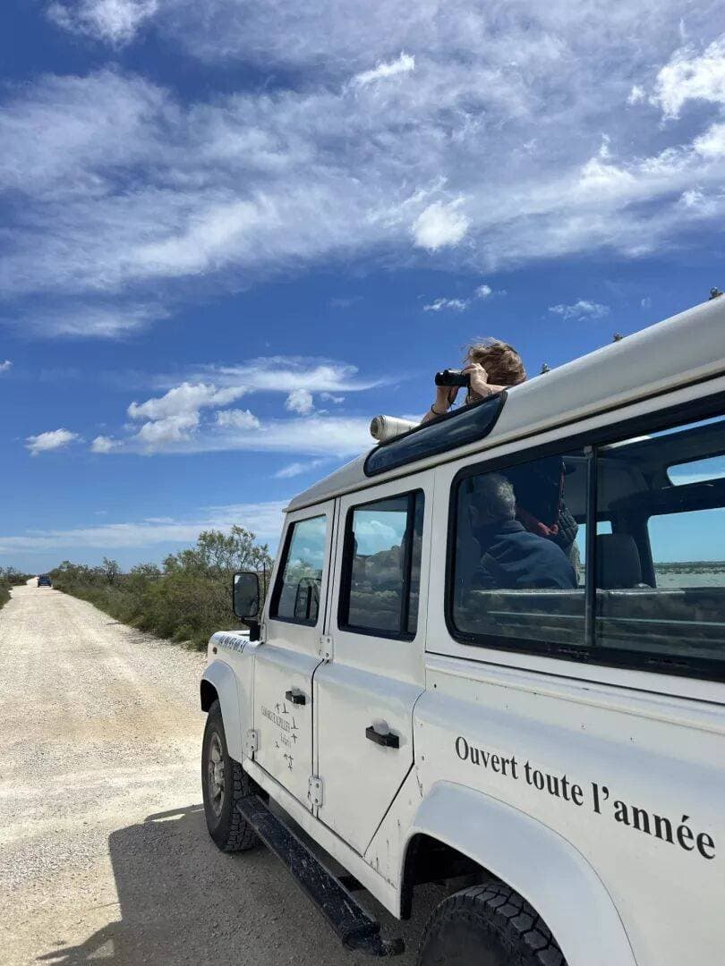 Camargue Alpilles Safari 1