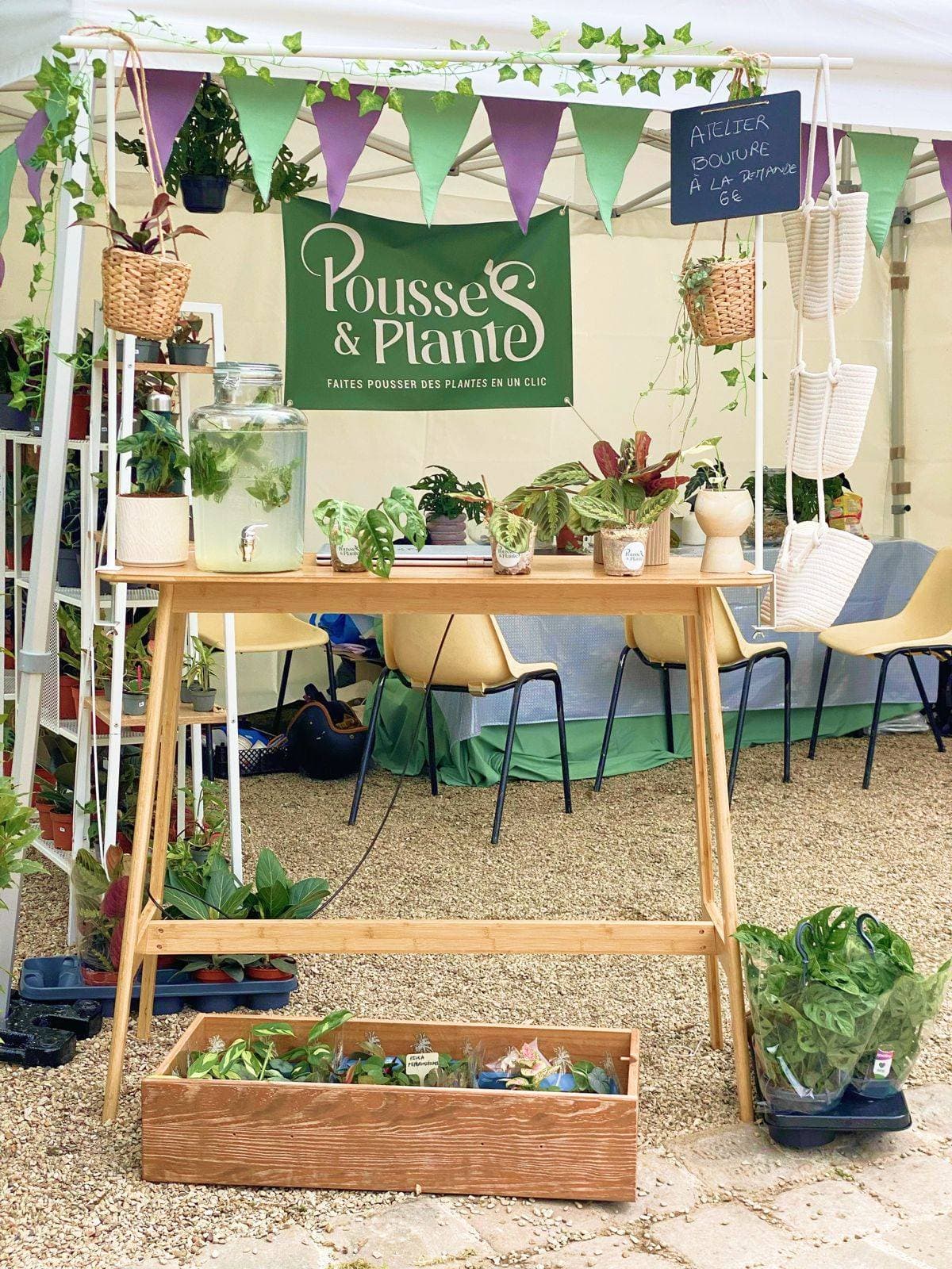 Pousses & Plantes 1