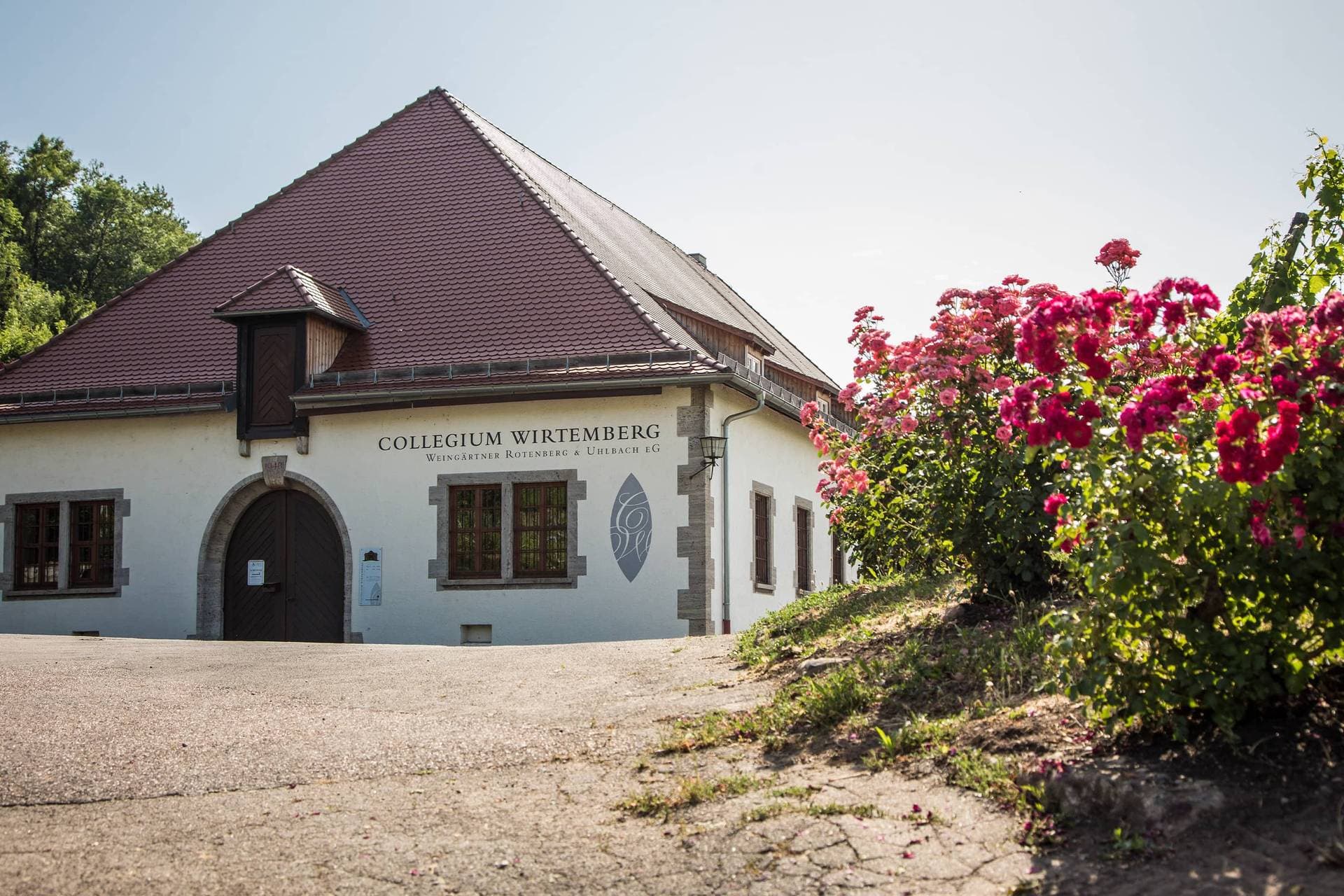 Collegium Wirtemberg (Weinwanderung) 1