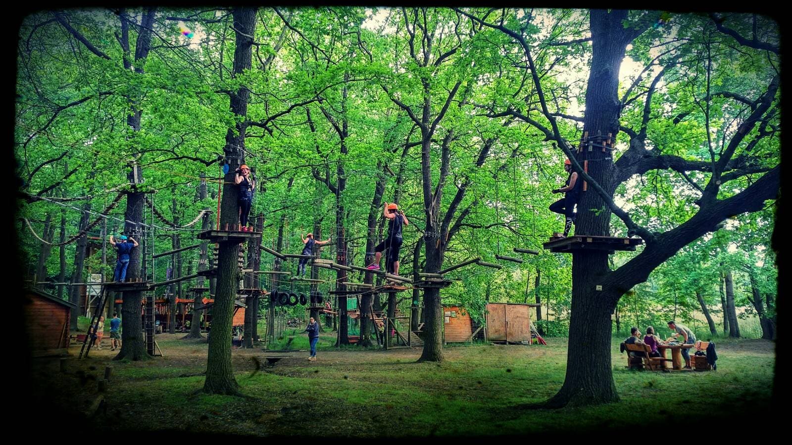 Hochseilgarten Mittelteich-Bad Moritzburg 1