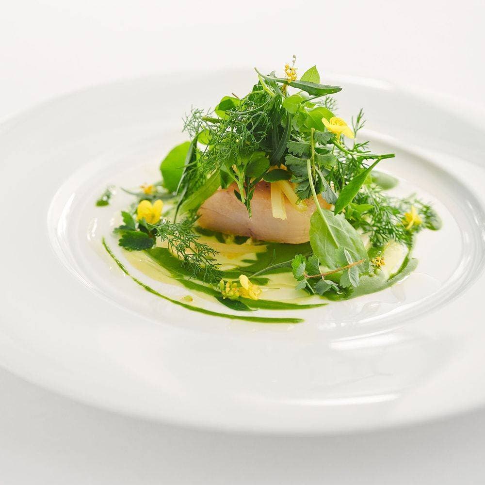 Marotta 2