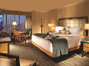 Fairmont Dallas 15